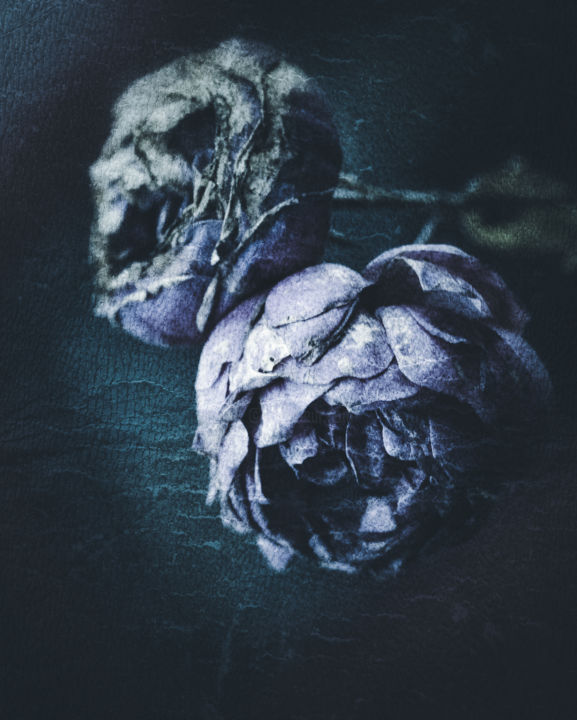 Fotografie mit dem Titel "Roses in blue momen…" von Ines Markwardt, Original-Kunstwerk, Manipulierte Fotografie