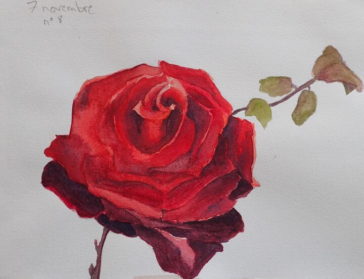 Peinture intitulée "Le nom de la Rose…" par Isabelle Tanguy, Œuvre d'art originale, Aquarelle