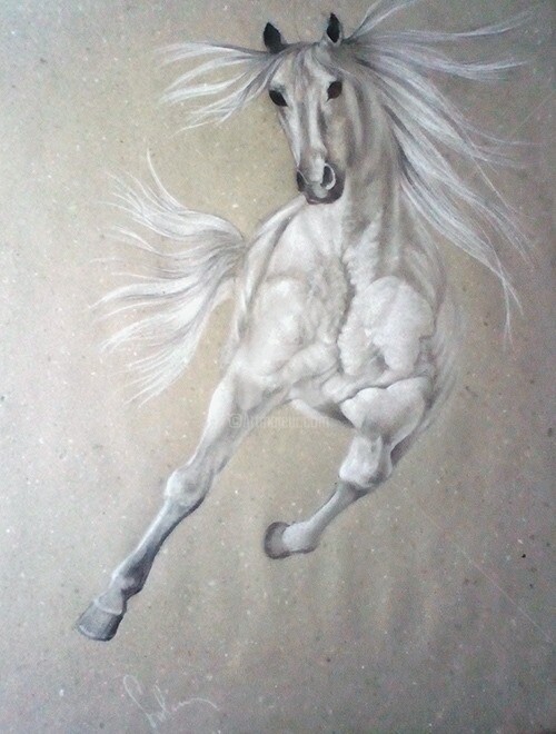 Drawing titled "cheval Blanc 3" by Salem Bourega, Original Artwork, Pastel