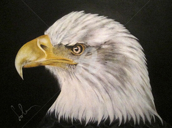 Painting titled "l'aigle" by Salem Bourega, Original Artwork, Acrylic