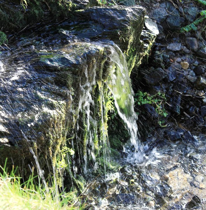 Photographie intitulée "Nature Naturelle" par Michel Stephan, Œuvre d'art originale, Photographie numérique