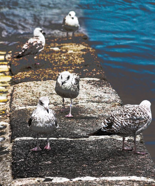 Photographie intitulée "QG -(Quai des Goéla…" par Michel Stephan, Œuvre d'art originale, Photographie numérique