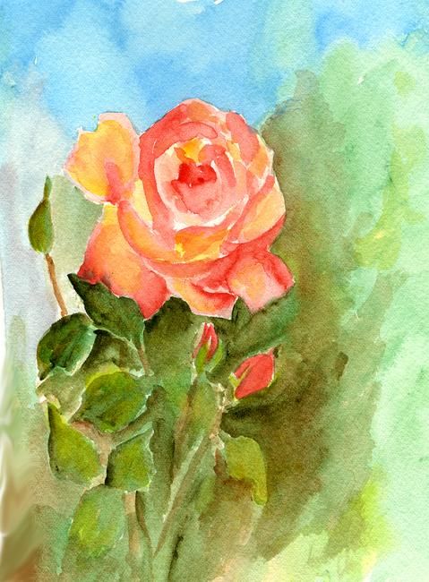 Painting titled "Apricot rose" by Aileen Mcleod, Original Artwork, Oil