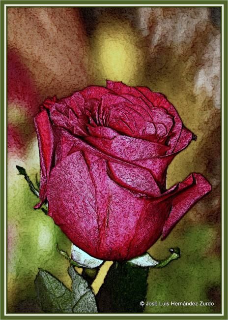 Digital Arts titled "ROSA DIFUSA" by José Luis Hernández Zurdo, Original Artwork, Other