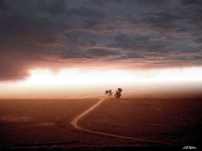 Photographie intitulée "The Road Less Trave…" par Bill Stephens, Œuvre d'art originale