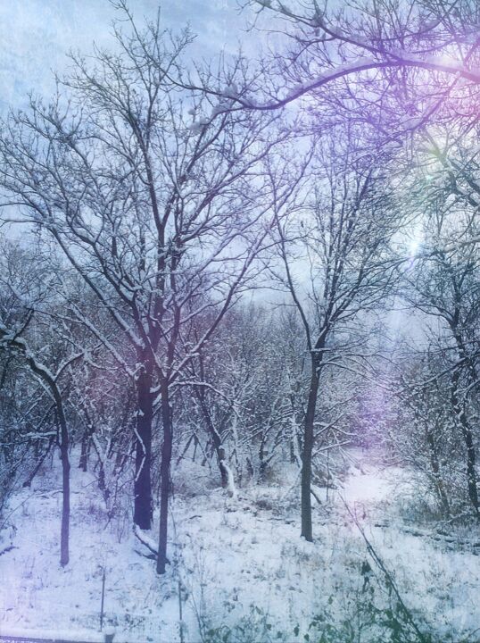Φωτογραφία με τίτλο "Snow Flurries" από Artistry By Ajanta, Αυθεντικά έργα τέχνης, Ψηφιακή φωτογραφία