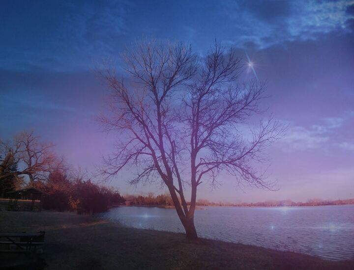 Photography titled "Evening Twinkles" by Artistry By Ajanta, Original Artwork, Digital Photography