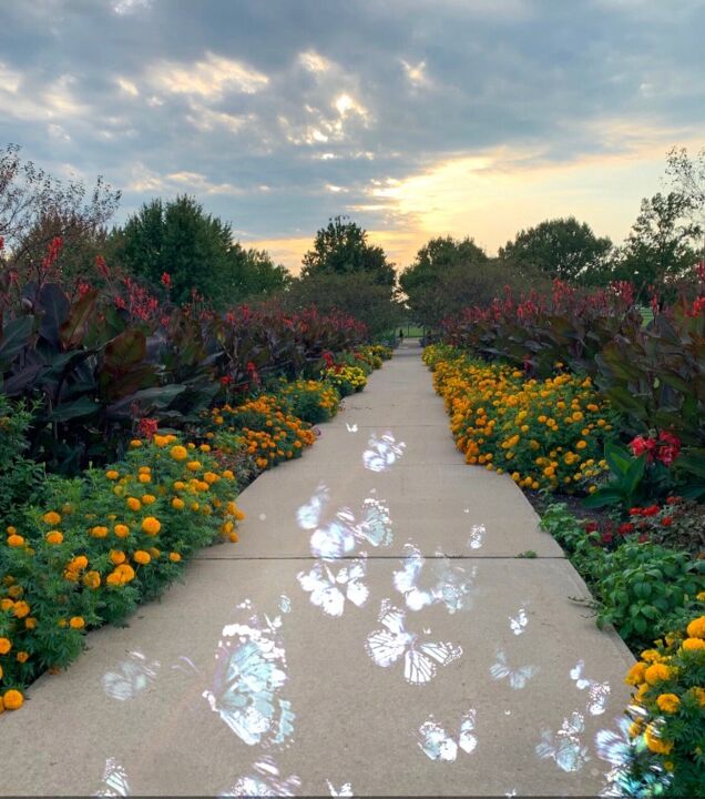 Fotografia intitolato "Garden Stroll" da Artistry By Ajanta, Opera d'arte originale, Fotografia digitale
