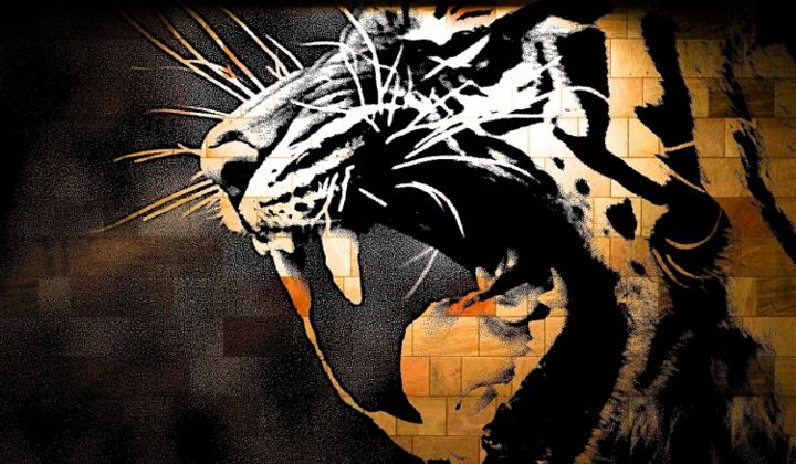 Photographie intitulée "The Growling Tiger" par Jim Mcdonald, Œuvre d'art originale