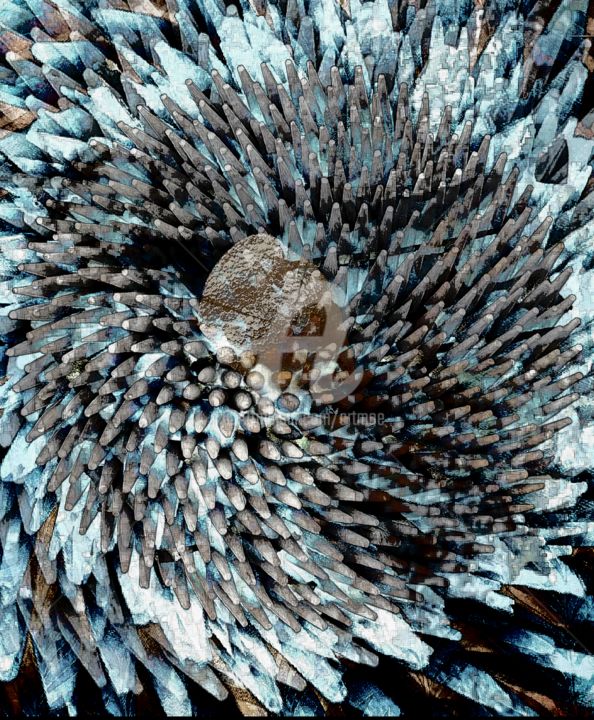 Digitale Kunst mit dem Titel "Abstrakt textur" von Art Moé, Original-Kunstwerk, Fotomontage