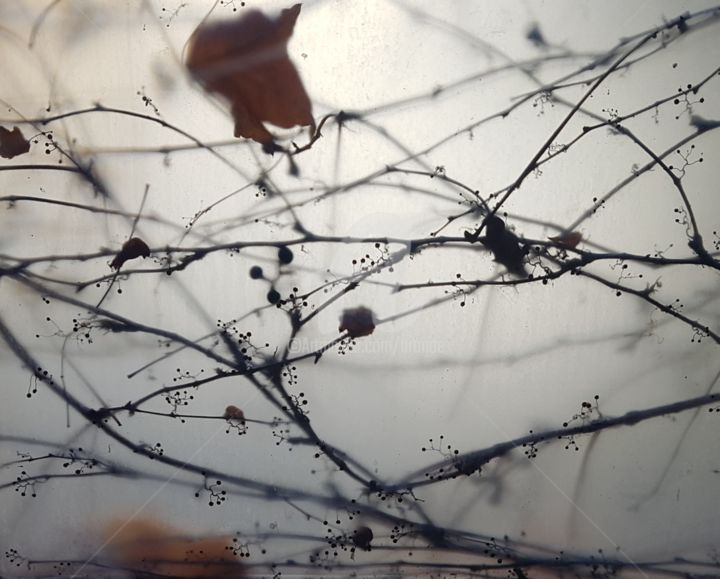 Photographie intitulée "#nature" par Art Moé, Œuvre d'art originale, Photographie numérique