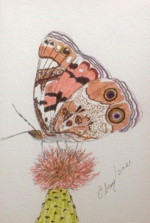 Dibujo titulada "Papillon Vanessa Vi…" por Obrey, Obra de arte original, Tinta