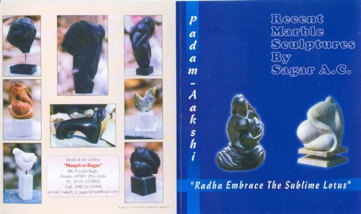 Sculpture intitulée "brochure" par Amitabh Sagar, Œuvre d'art originale