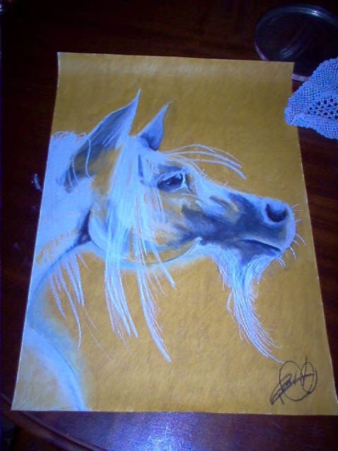 Pintura intitulada "cavalo" por Ricardo Silva, Obras de arte originais