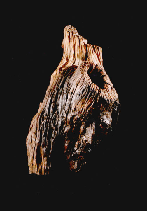 Skulptur mit dem Titel "Ecce Homo" von Christian Comte, Original-Kunstwerk, Holz