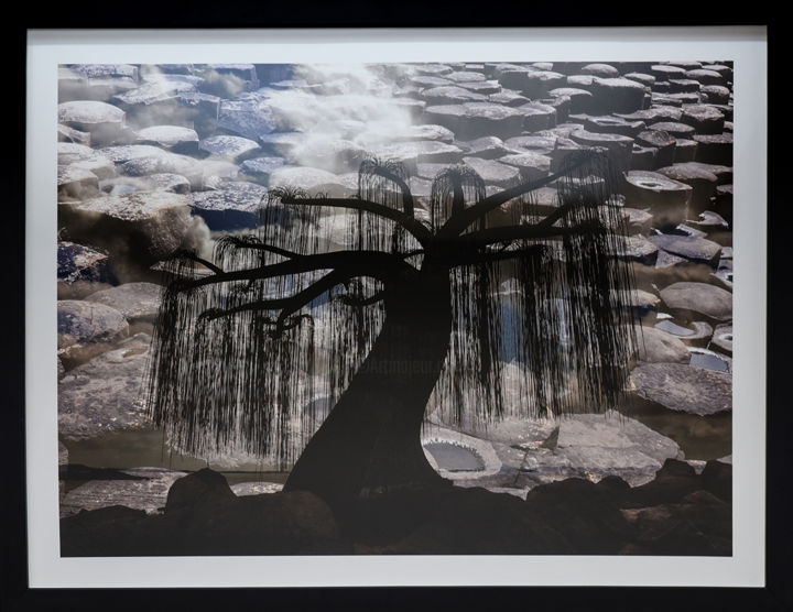 Fotografia intitolato "Crying Nature" da Anna Sowinska, Opera d'arte originale, Fotografia digitale Montato su Cartone