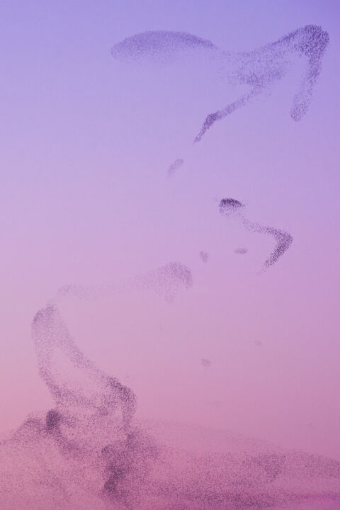 Photographie intitulée "Starling art" par Anna Sowinska, Œuvre d'art originale, Photographie numérique