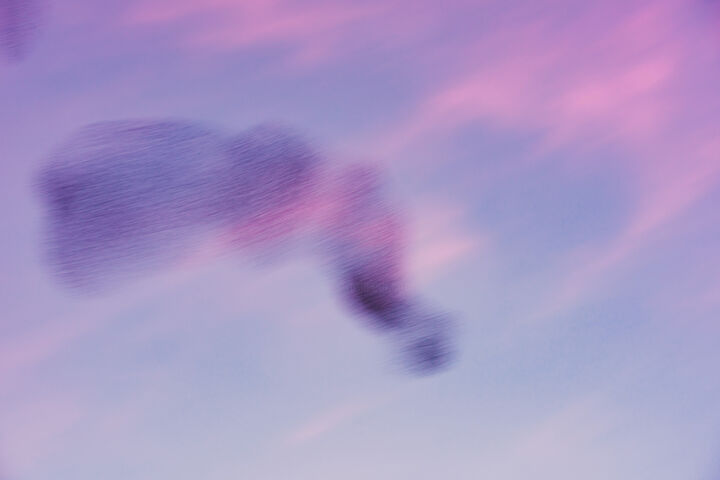 摄影 标题为“Cloud” 由Anna Sowinska, 原创艺术品, 数码摄影