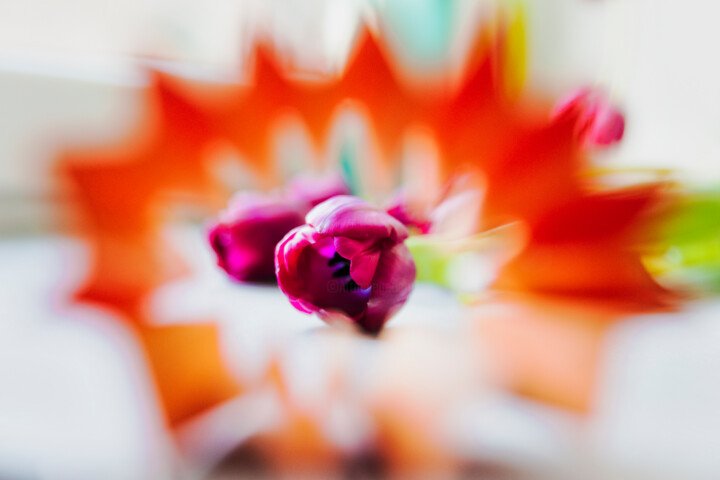 Fotografía titulada "Tulips" por Anna Sowinska, Obra de arte original, Fotografía digital