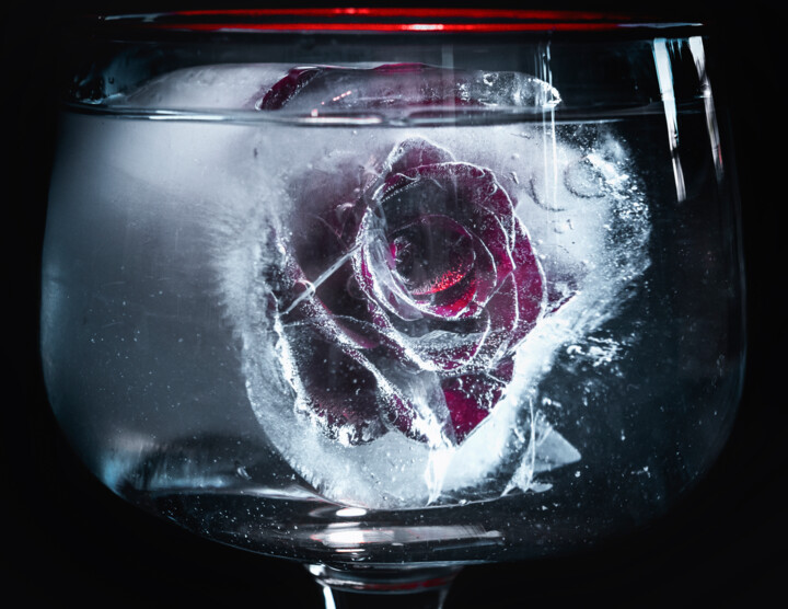 Fotografia zatytułowany „Frozen rose” autorstwa Anna Sowinska, Oryginalna praca, Fotografia cyfrowa