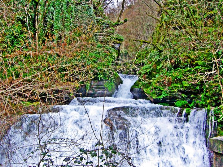 cascada gallega arturo carrión