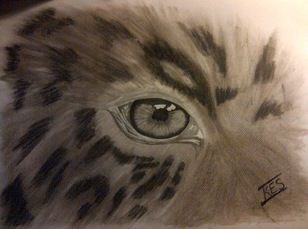 Drawing titled "Eye on Africa" by Ikes, Original Artwork