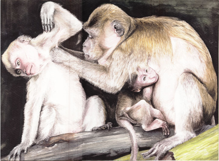 Painting titled "srilanken-monkey-1.…" by Rangana, Original Art, Watercolor