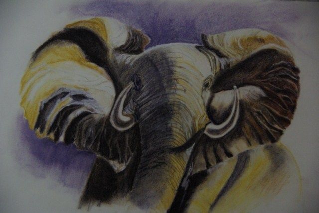 Drawing titled "l'éléphant" by Annie Sillard, Original Artwork
