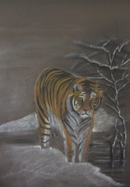 Dessin intitulée "le tigre" par Annie Sillard, Œuvre d'art originale