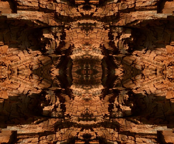Digitale Kunst mit dem Titel "Symmetrical wood im…" von Alfred Georg Sonsalla, Original-Kunstwerk, Fotomontage