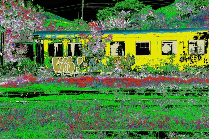 Digital Arts titled "Nov19 series- 3F4A0…" by Assis De Mello, Original Art, 2D Digital Work