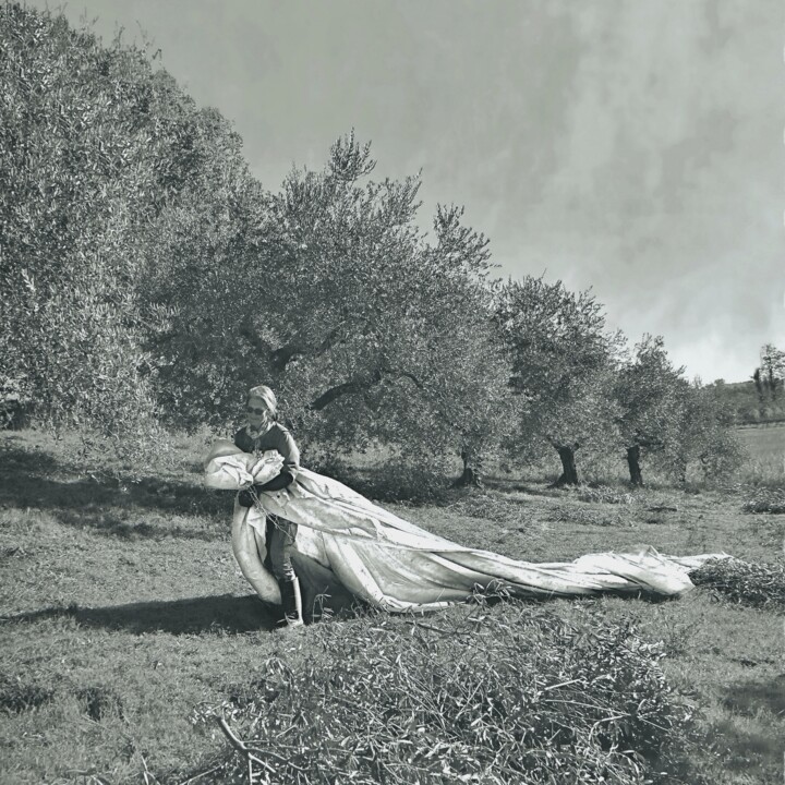 Фотография под названием "OLIVE WEDDING DRESS" - Aster, Подлинное произведение искусства, Цифровая фотография Установлен на…
