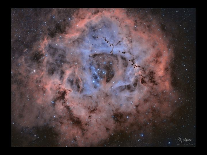 Fotografie mit dem Titel "Rosette nebula" von David James, Original-Kunstwerk, Digitale Fotografie