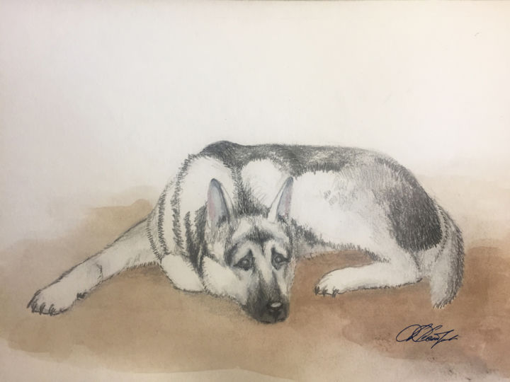 Рисунок под названием "Пёс" - Аркадий Астров, Подлинное произведение искусства, Карандаш