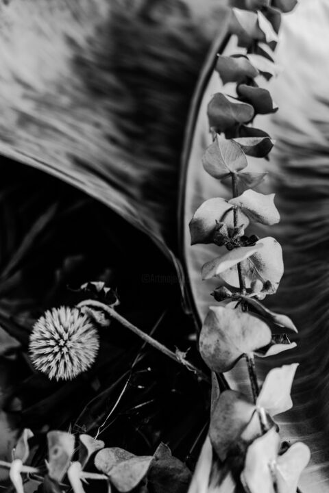 Photography titled "Flower composition" by Asya Vyalykh, Original Art, Digital Photography