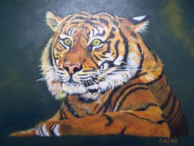 图画 标题为“Tigre” 由Catherine Allais Jourdain, 原创艺术品