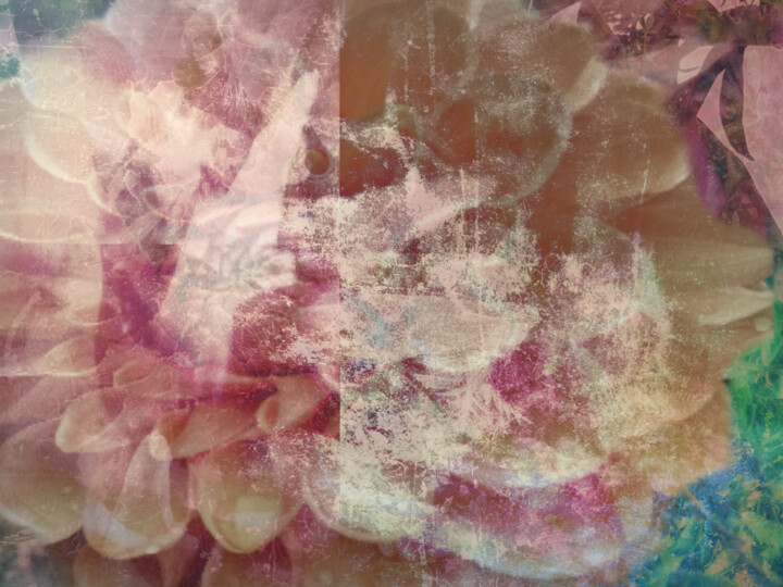 Arts numériques intitulée "abstractions floral…" par Taddei Ange, Œuvre d'art originale, Collage numérique