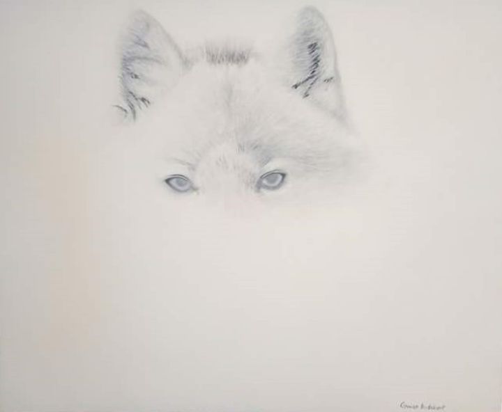 Peinture intitulée "loup blanc" par Gwen Audebert, Œuvre d'art originale, Acrylique