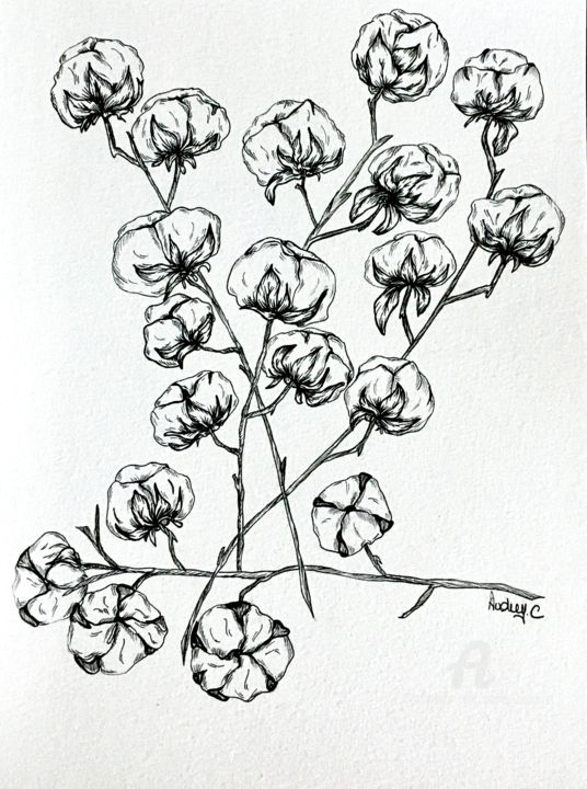 Σχέδιο με τίτλο "Fleurs de coton" από Mzelle Cecca Artwork, Αυθεντικά έργα τέχνης, Μαρκαδόρος