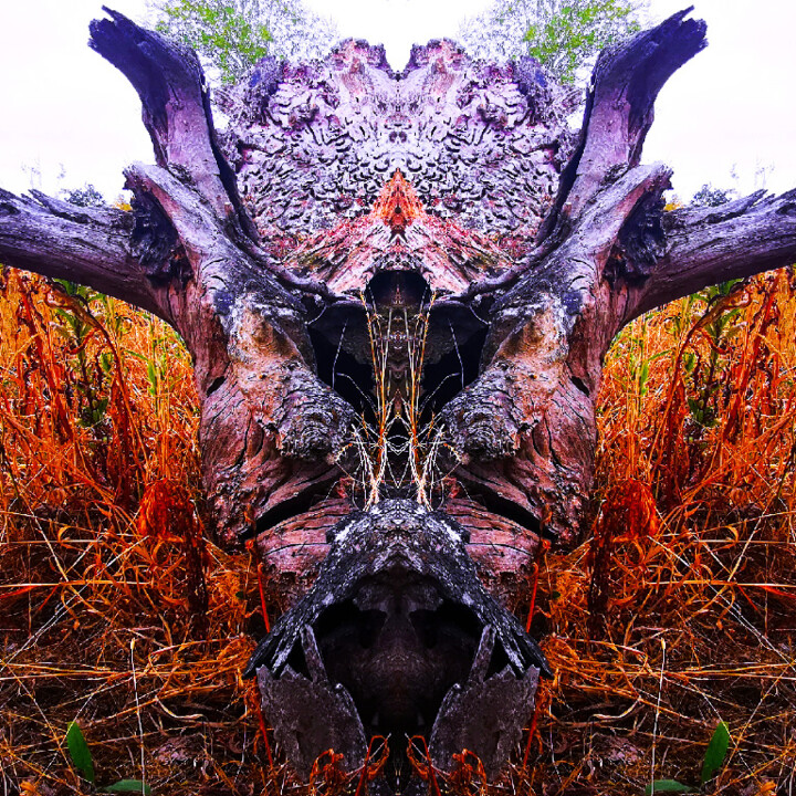 Photography titled "Dinotronc" by Audrey Chaa, Original Artwork, Manipulated Photography Mounted on Aluminium