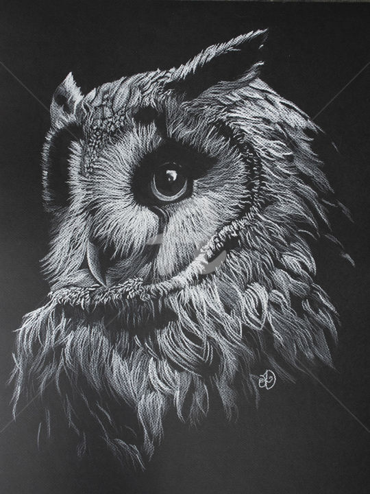 owl black and white