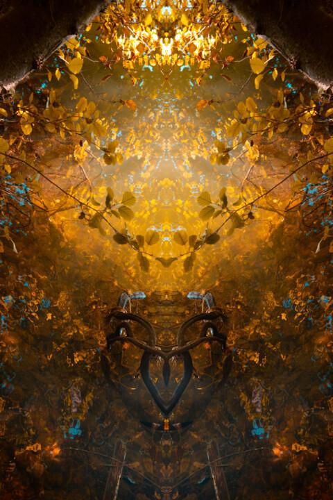 Photographie intitulée "Le Royaume des Lumi…" par Aurélia Cheret, Œuvre d'art originale, Photographie numérique Monté sur Au…