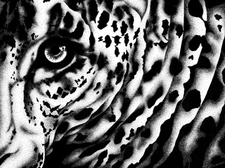 Disegno intitolato "Tigre" da Sénéca A, Opera d'arte originale