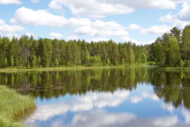 Fotografie mit dem Titel "Landscape Photograp…" von Aurélie Luylier, Original-Kunstwerk