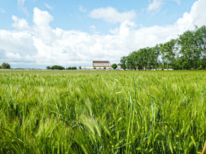 Photography titled "L'abbaye d'Ardenne…" by Aurélien Comte, Original Artwork, Digital Photography