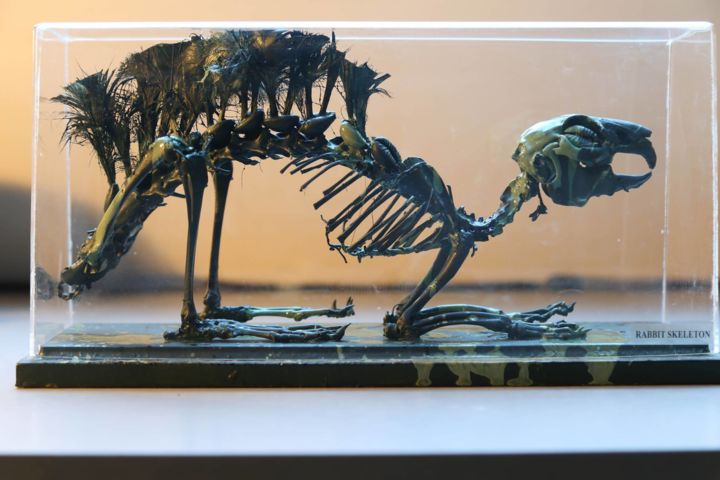 Sculpture intitulée "Squelette militaire" par Aurélien Hild, Œuvre d'art originale
