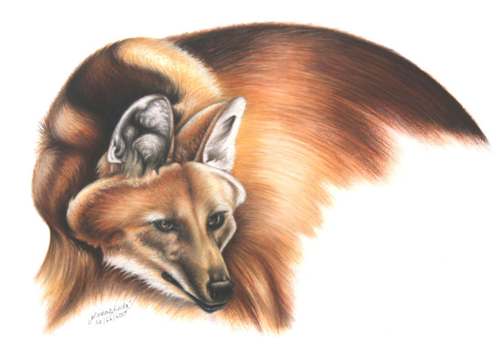 Drawing titled "Lobo guará" by Dimarco.Art, Original Artwork, Pastel