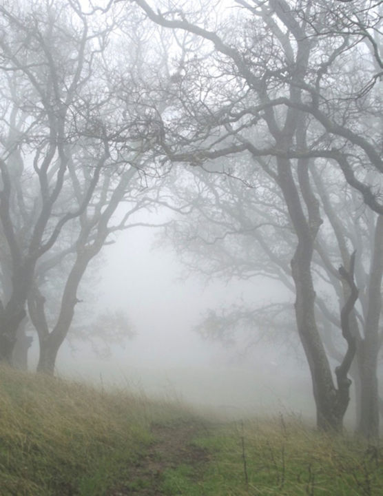 Photography titled "MIST IV: Paper" by Curtis H. Jones, Original Artwork, Digital Photography Mounted on Wood Stretcher frame