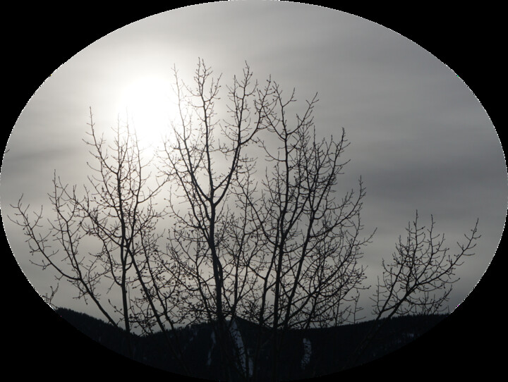 Fotografia zatytułowany „Grey Winter Sunrise” autorstwa Curtis H. Jones, Oryginalna praca, Fotografia cyfrowa Zamontowany na…