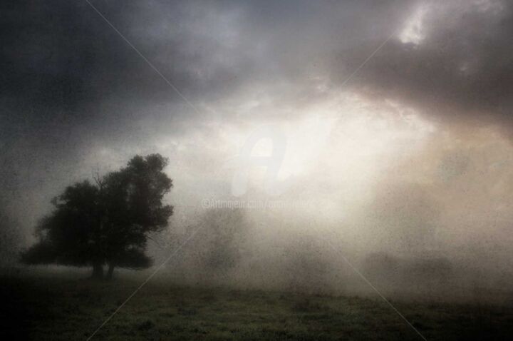 Fotografía titulada "Les voix du ciel" por Roland Avard, Obra de arte original, Fotografía digital Montado en Bastidor de ca…